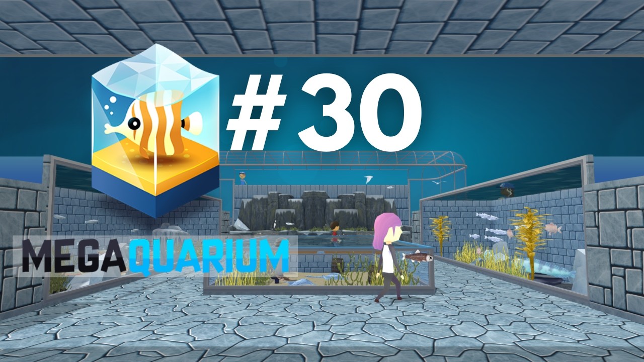 THE POLAR ZONE LOOKS AMAZING! - Megaquarium (#30)