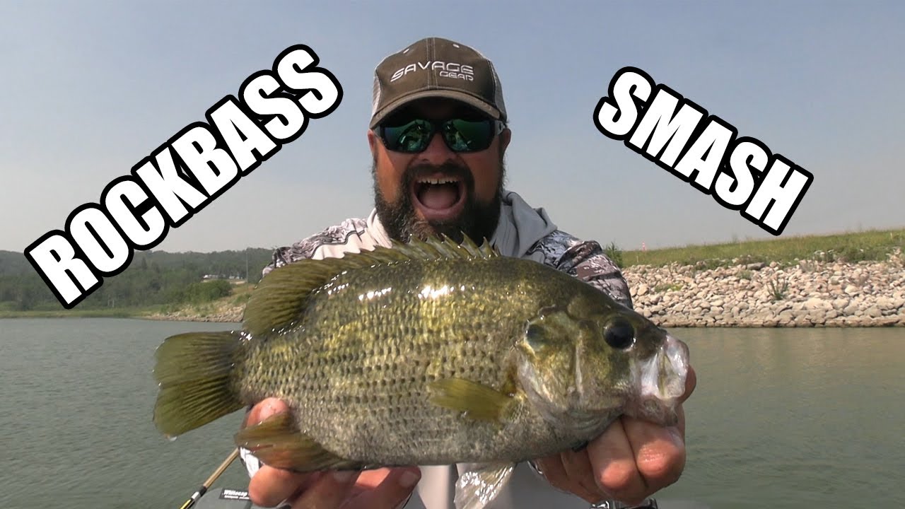 Rock Bass Smash! | How to catch Rock Bass!