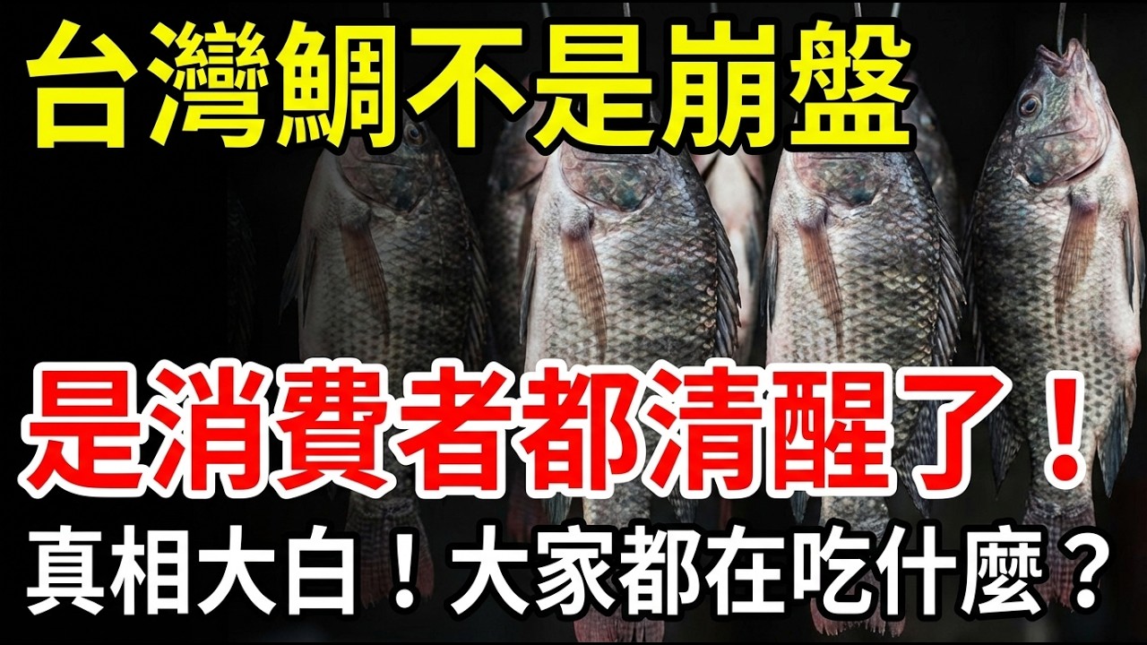 不是海鯛！「台灣鯛」真相曝光：二十年行銷神話破功，魚價雪崩的真正兇手