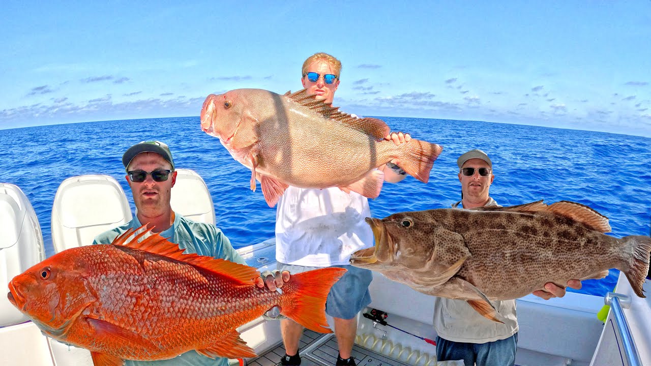 Piscifun Kraken Vs GIANT Saltwater Fish! A Test of the Best Budget Electric Reel Catch, Clean, Cook