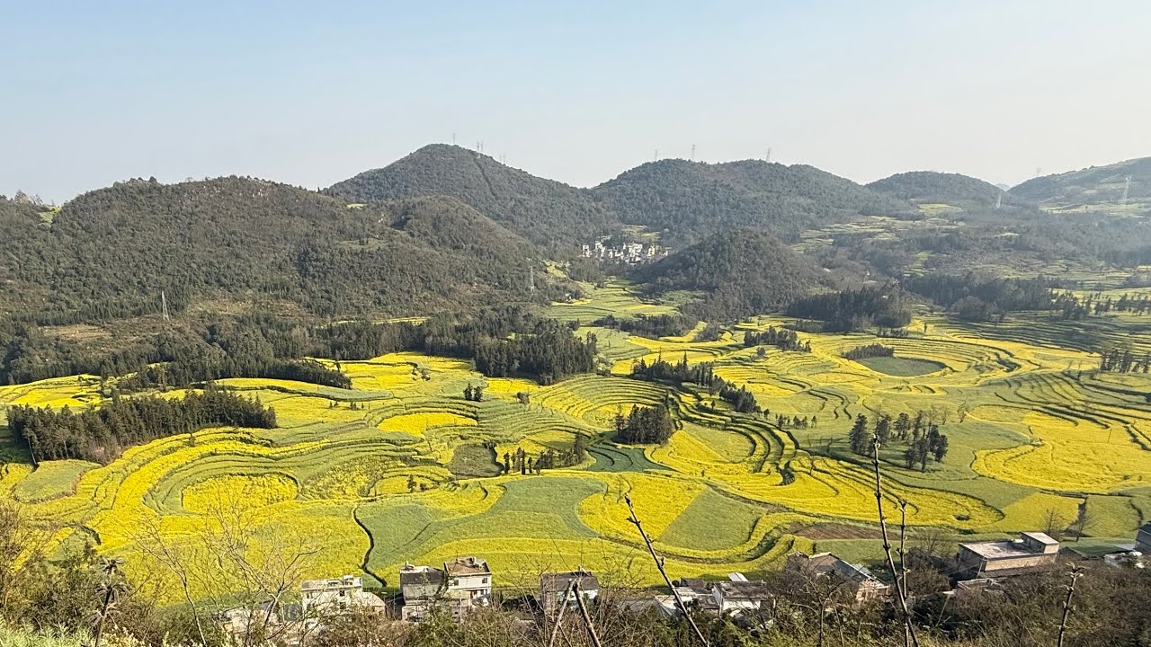 雲南羅平牛街螺絲田串珠岩溶漏斗地形油菜花海自然景觀