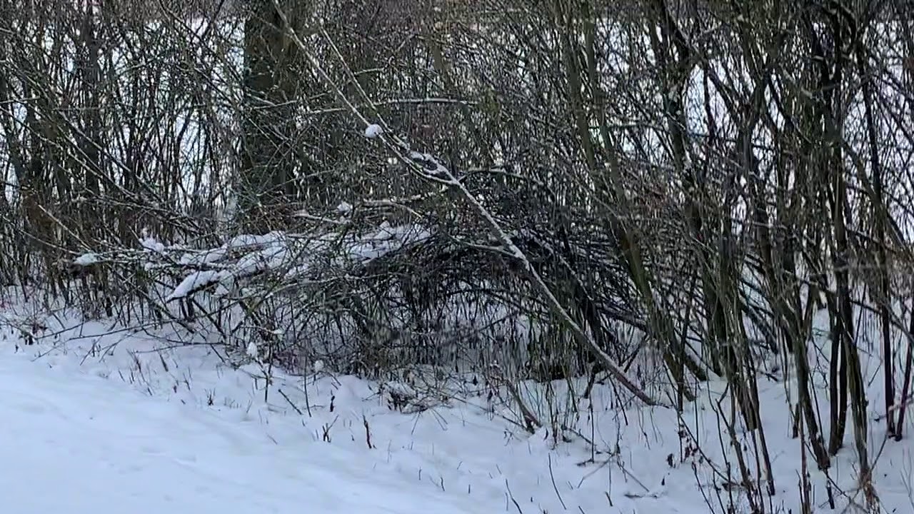 Geschichte neu gedacht Hilpoltstein 1