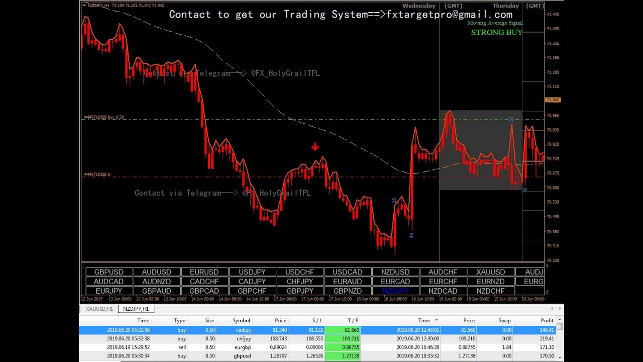 Forex Holy Grail Indicator for MT4