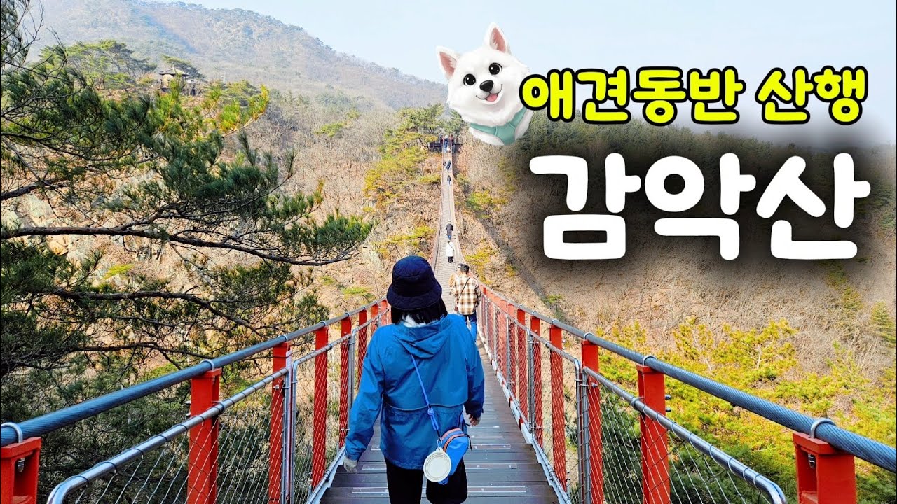 파주 감악산 출렁다리 분위기 뭐야?  👉감악산 능선길 원점회귀 코스