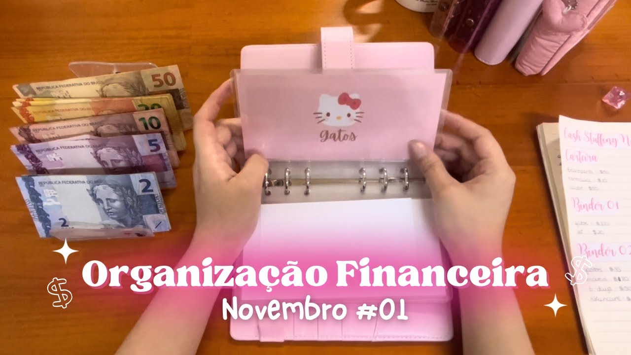 💸 Organização Financeira de Novembro #01 | Cash Stuffing Brasil ✨