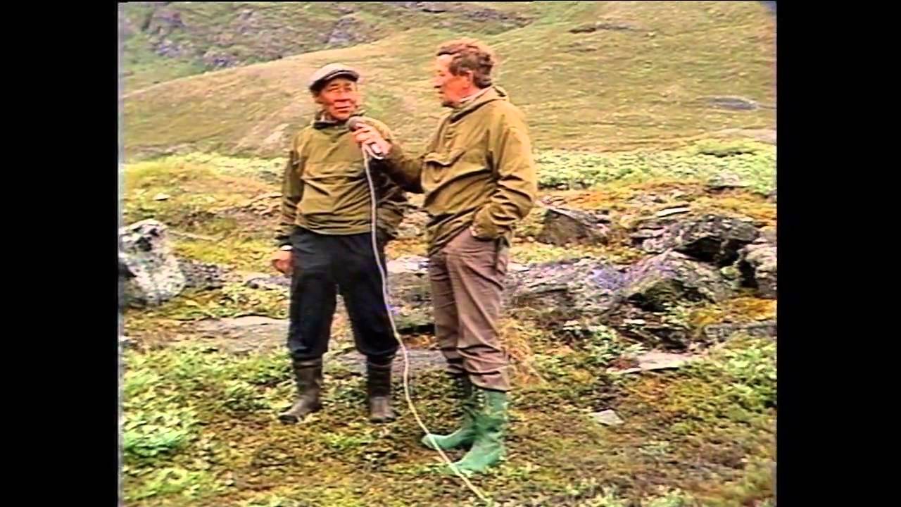 Ujarassuit 21.10.1983