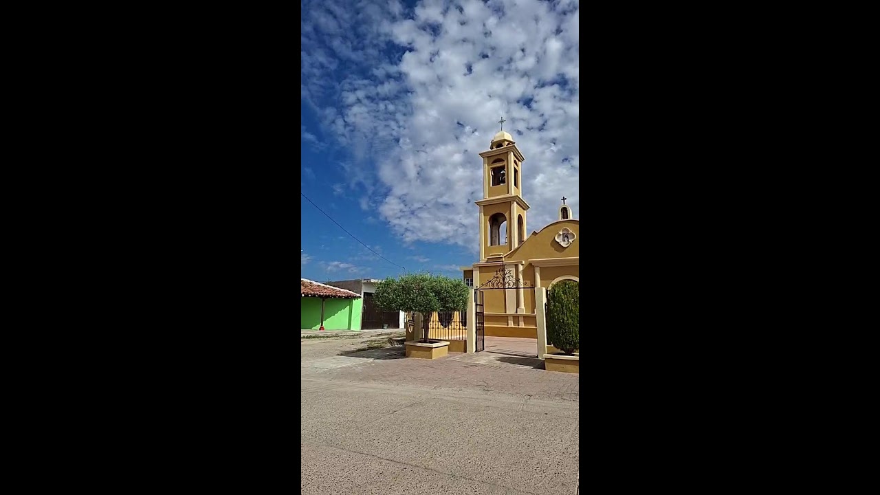 #EnVivo | Continúan trabajos en fosas clandestinas localizadas en El Verde, Concordia