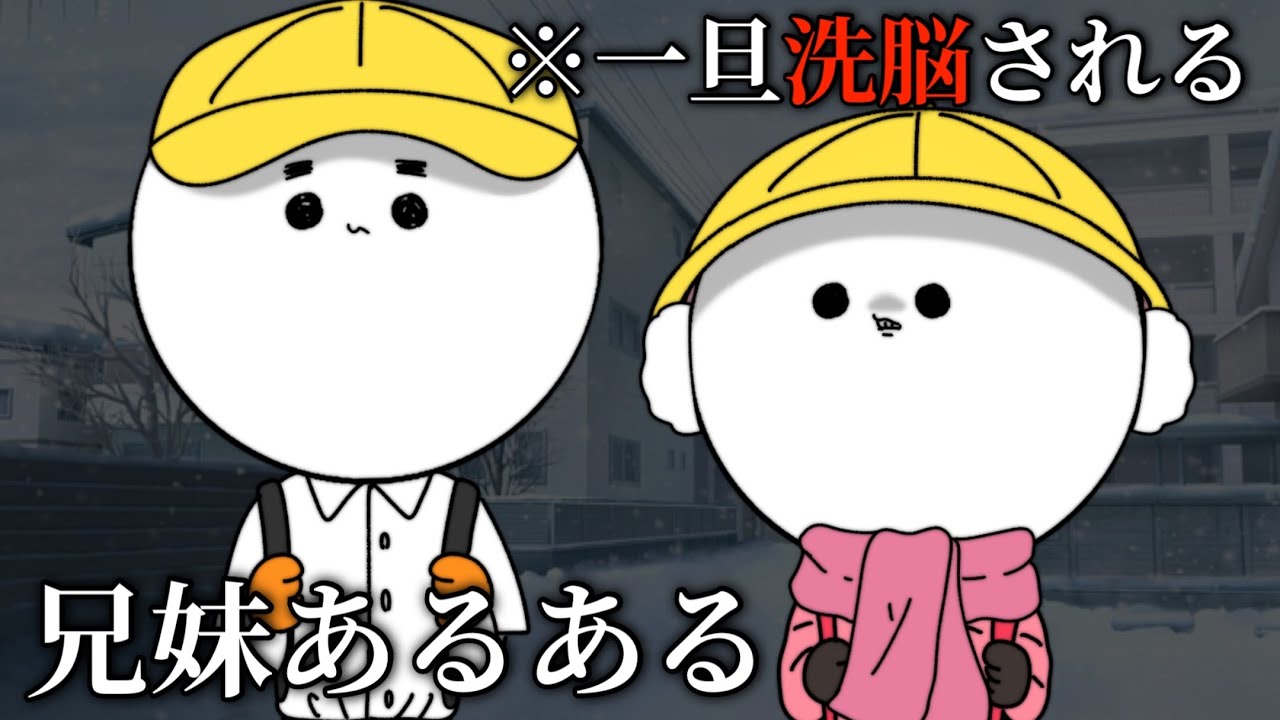 【実話】兄妹がいるとこうなるって話【あるある】