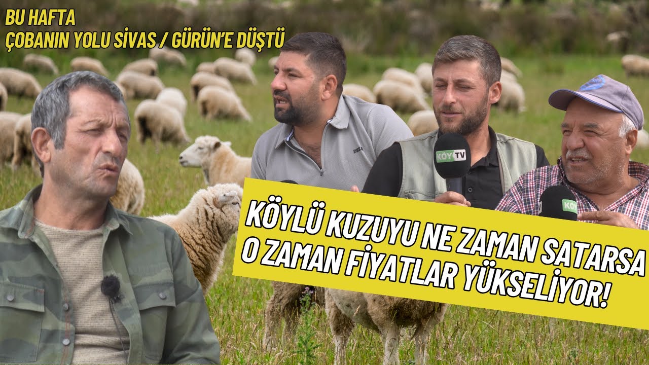 ÇOBANIN YOLU BU HAFTA SİVAS GÜRÜN'E DÜŞTÜ I ÇOBANIN YOLU