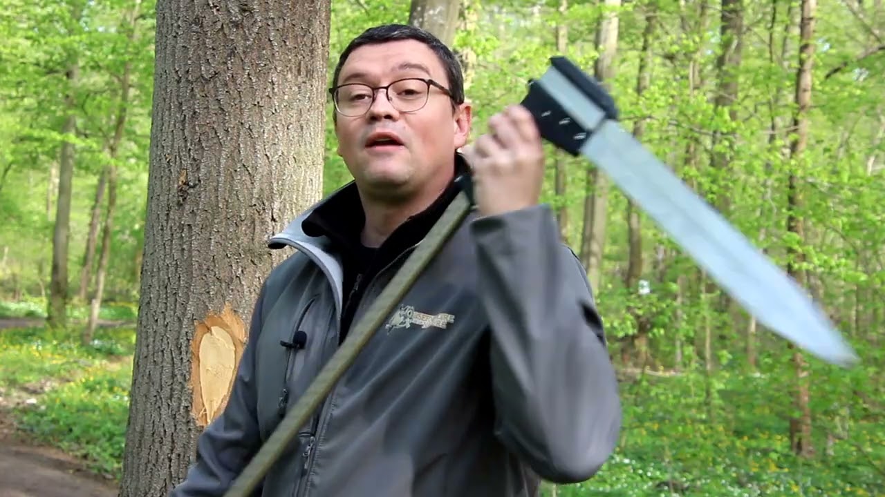 La chronique nature : Les marquages sur les arbres