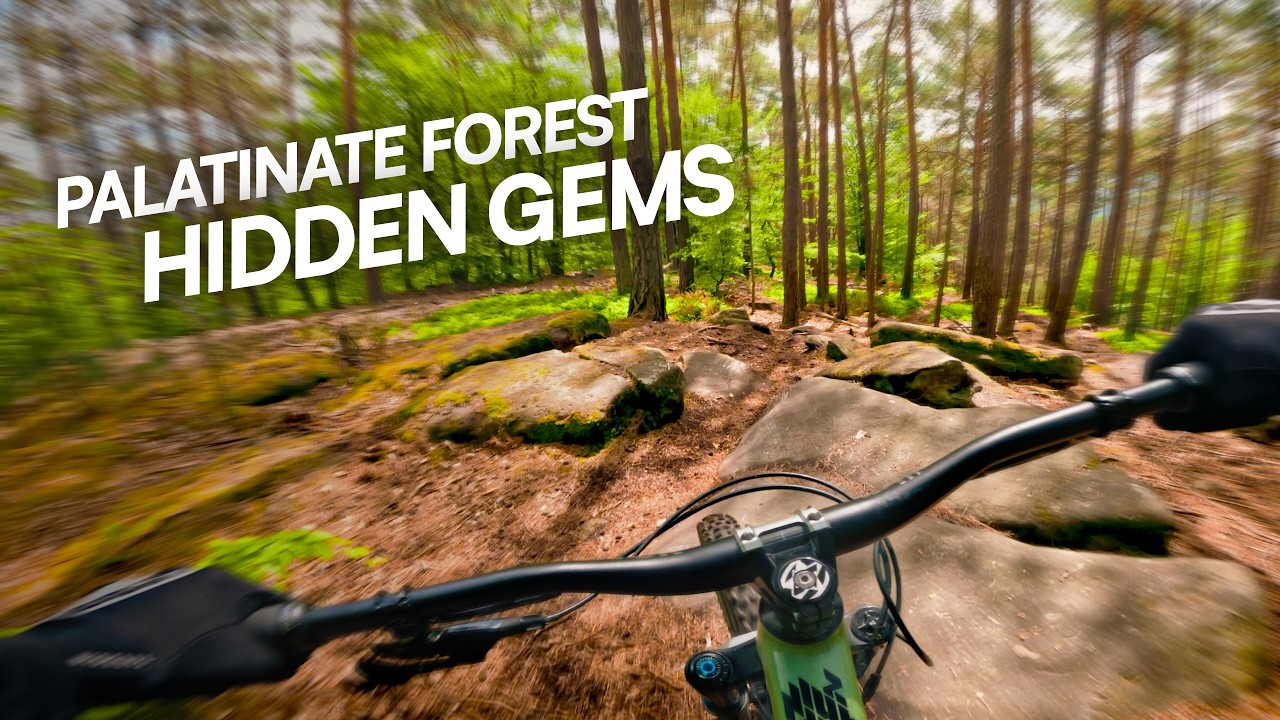 Hidden Gems – Next Level Enduro Trails | Palatinate Forest, Germany 🇩🇪