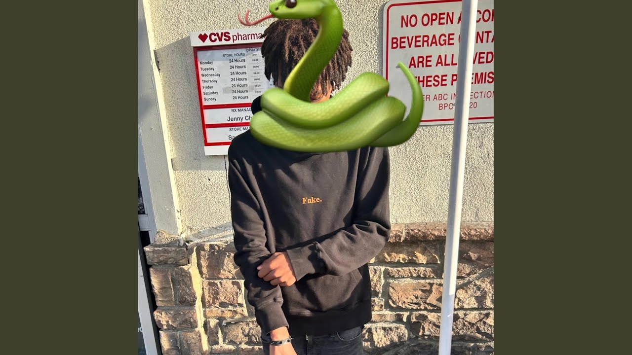 internet skam