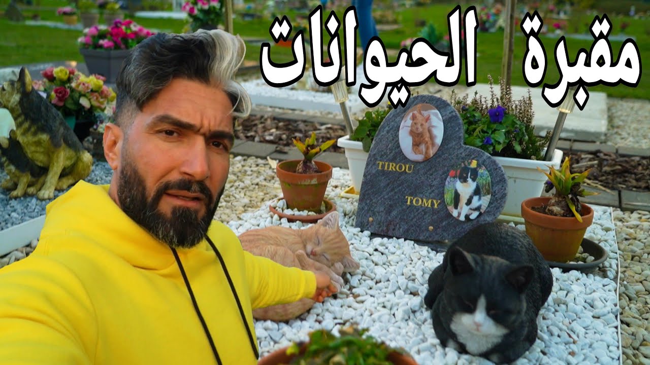 مقبرة الحيوانات شي لايصدق 😱