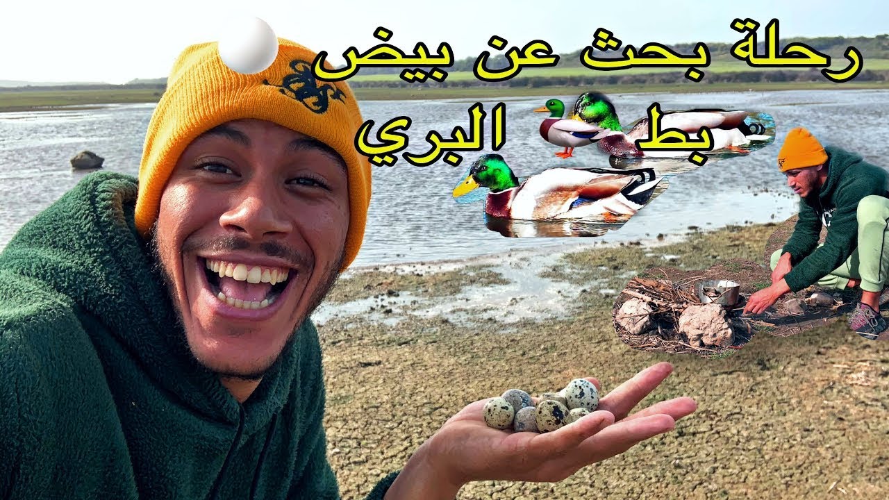رحلة بحث عن بيض 🥚 بط 🦆 البري لا تفوتكم نتيجه 😱😱