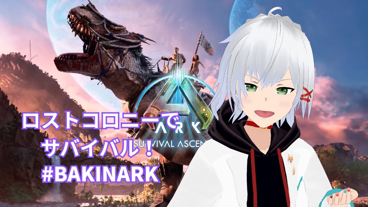 【