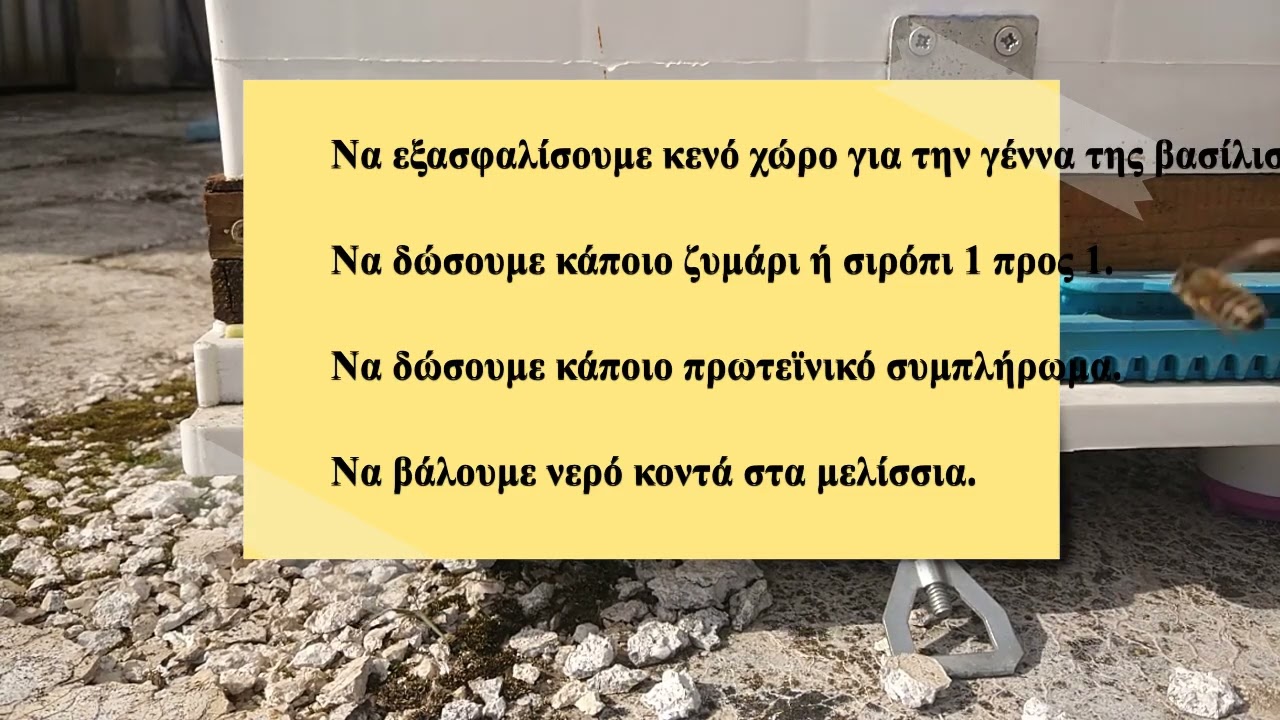Μελισσοκομικοί Χειρισμοί Φεβρουαρίου