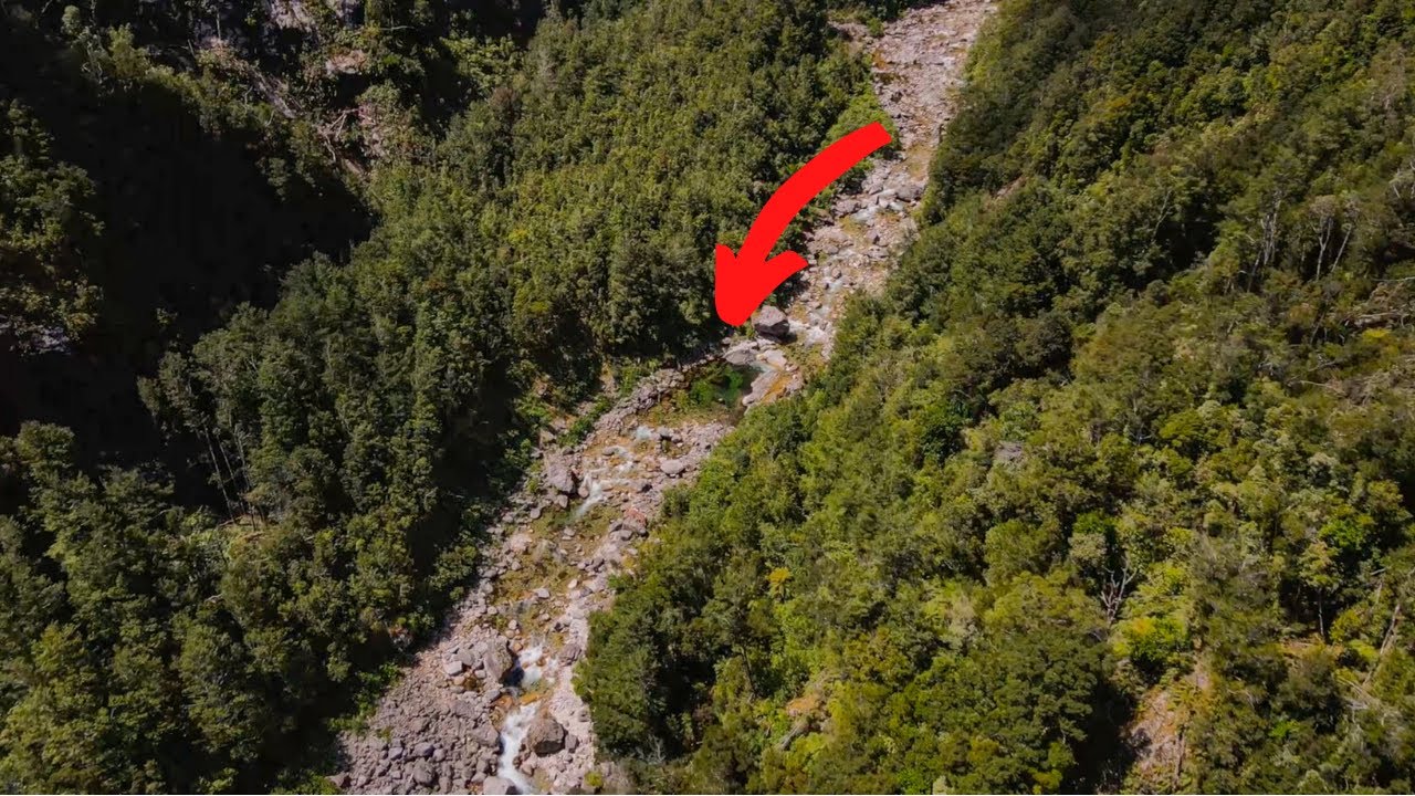 FLY FISHING in Remote New Zealand Stream [Brown Trout]