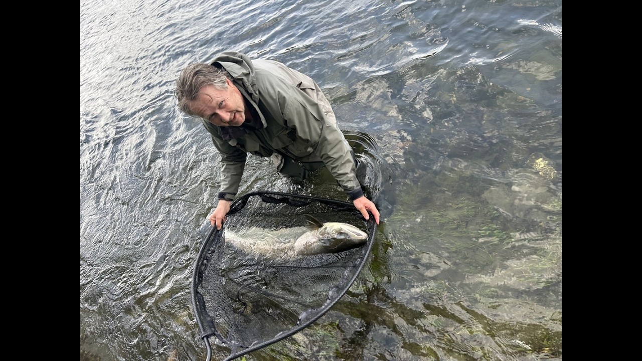Fly fishing the largest Gaula Salmon 2025