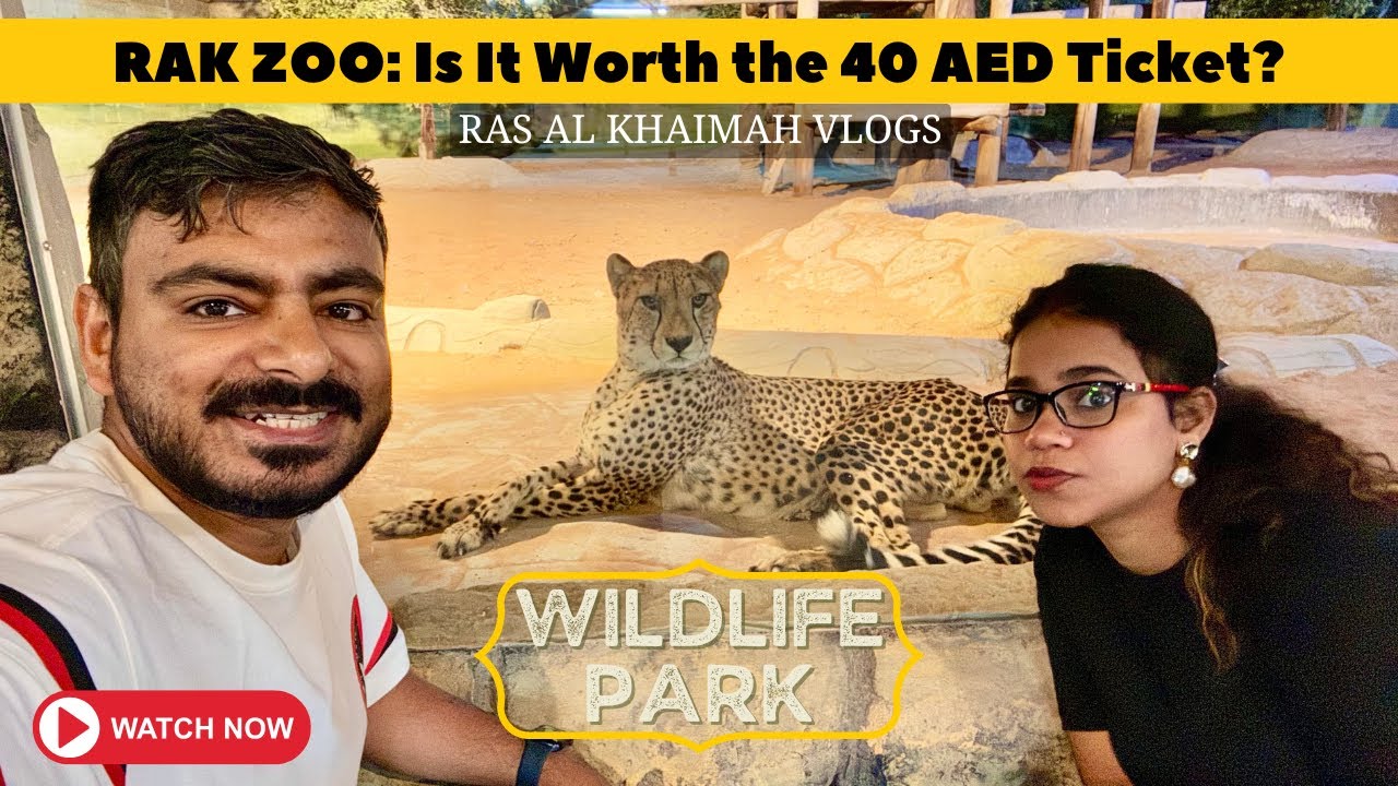 This Cat is So AGGRESSIVE 😱! Ras Al Khaimah Zoo | Indians in Dubai | Dubai Hindi Vlog #vlog #rakzoo