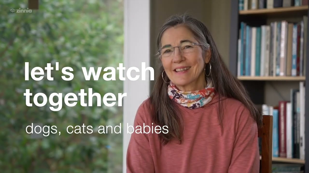 Watch with Allyson   Dogs, Cats and Babies