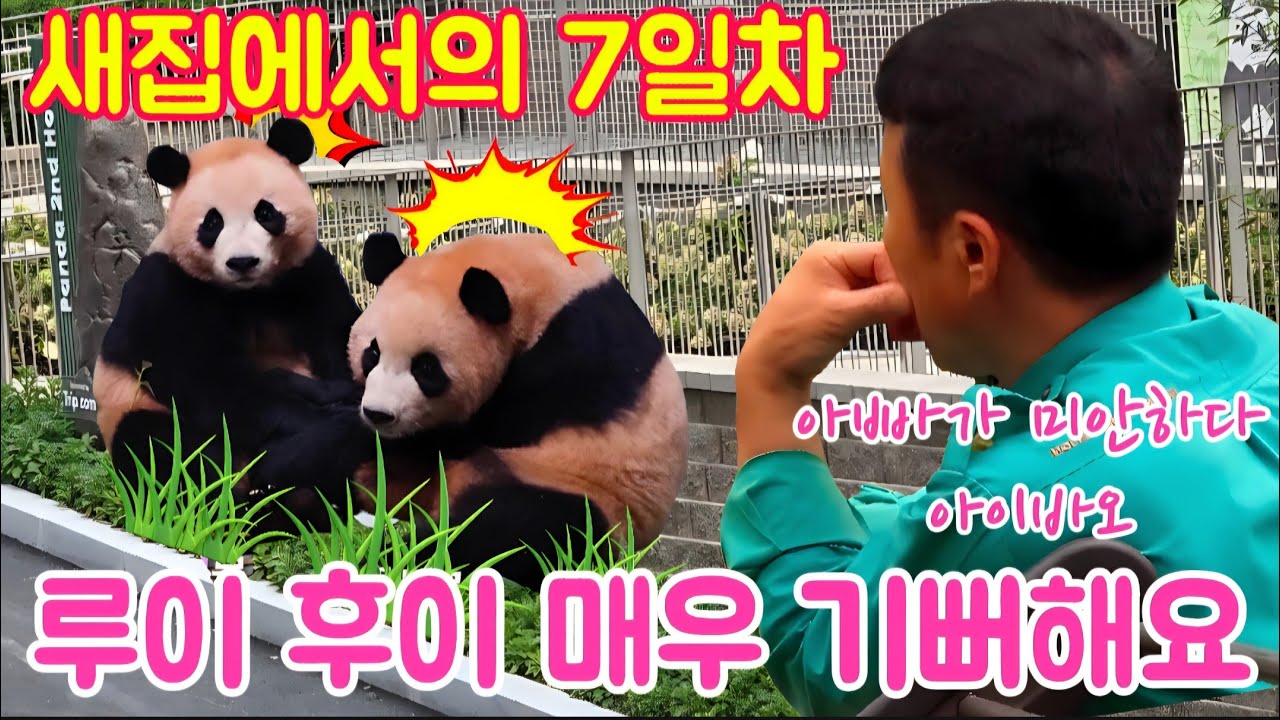 에버랜드 판다월드 9월 25일 누구보다 힘들어 하시는 아빠가 
