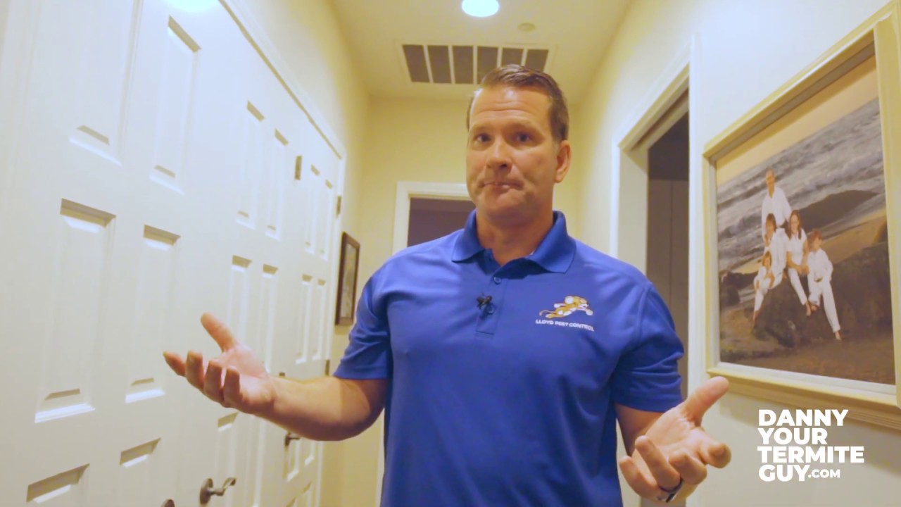 Termite Heat Treatment