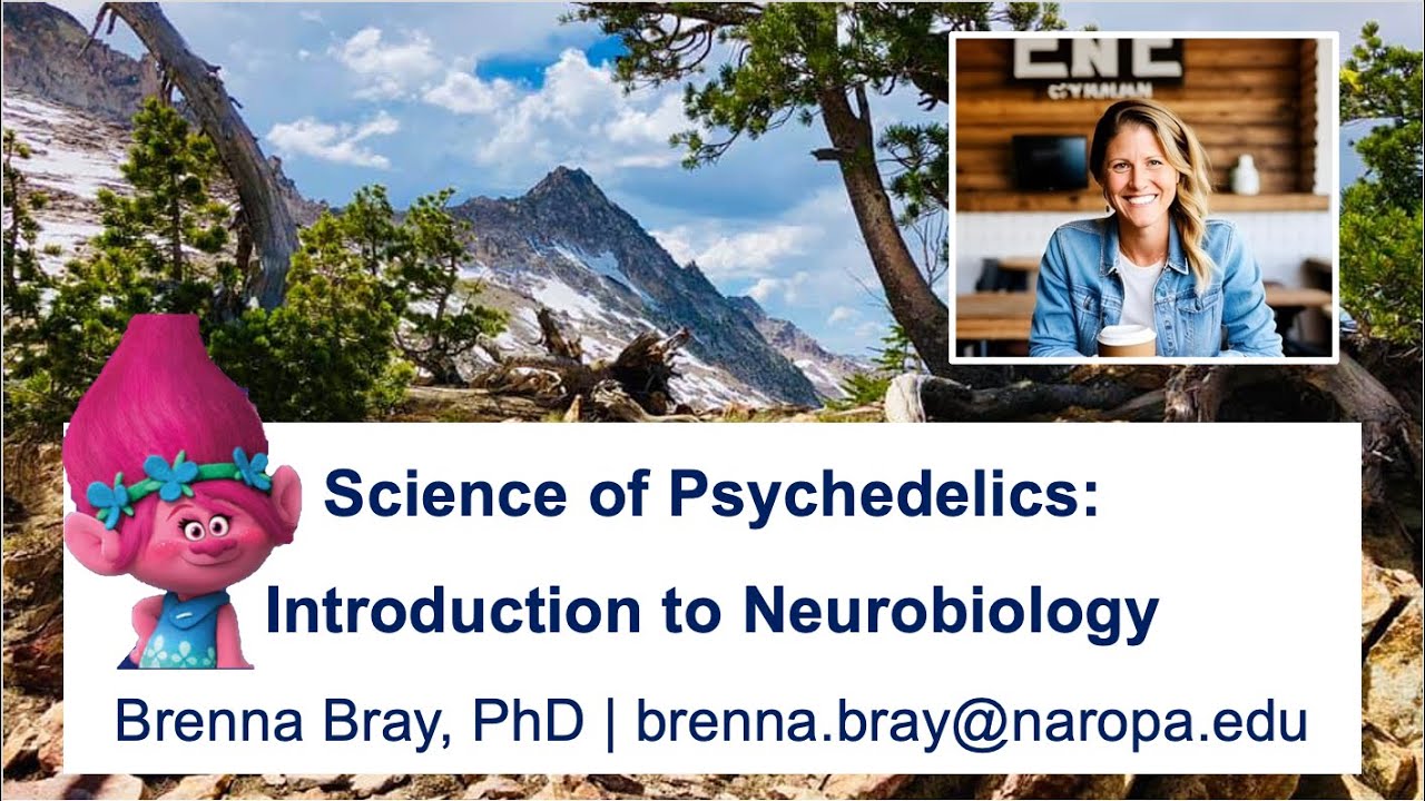 Psychedelic Neuroanatomy I: Introduction to Neurobiology (Brenna Bray, PhD, 2025)