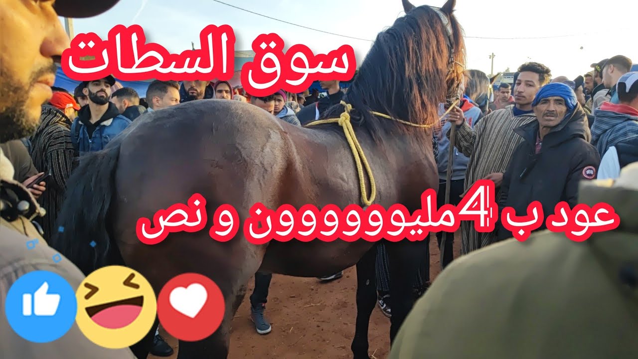 سوق السطات بعد غياااب طويييل ☺️☺️كاين المليح و مشاء الله على عود ب4مليووون و نص الله يصلحو لمولاه