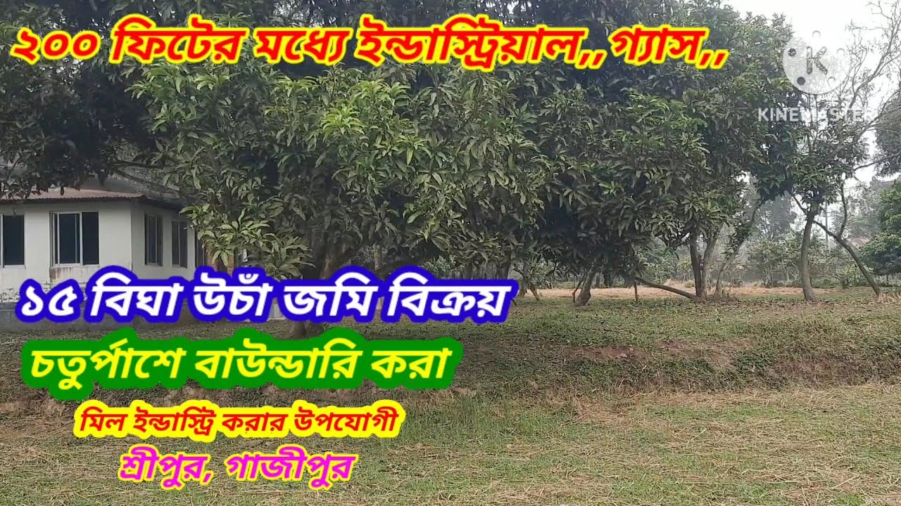 ১৫ বিঘা বাগান সহ বাংলো বিক্রয়।। শ্রীপুর গাজীপুর#asset seller#Garden sale Sreepur Gazipur