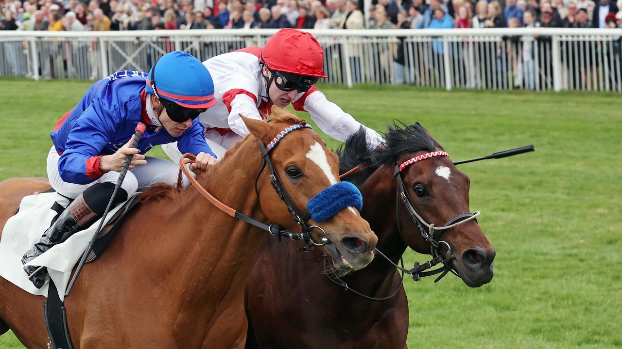 Berlin-Hoppegarten: Altano-Rennen 2026 Sieger: Flatten the Curve