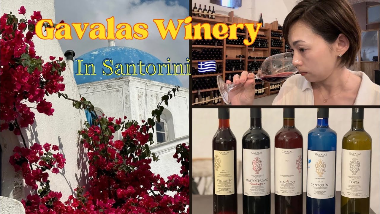 【Gavalas Winery】Tasting wines of volcanic soils in Santorini サントリーニワインの特徴を知る #winetasting #santorini