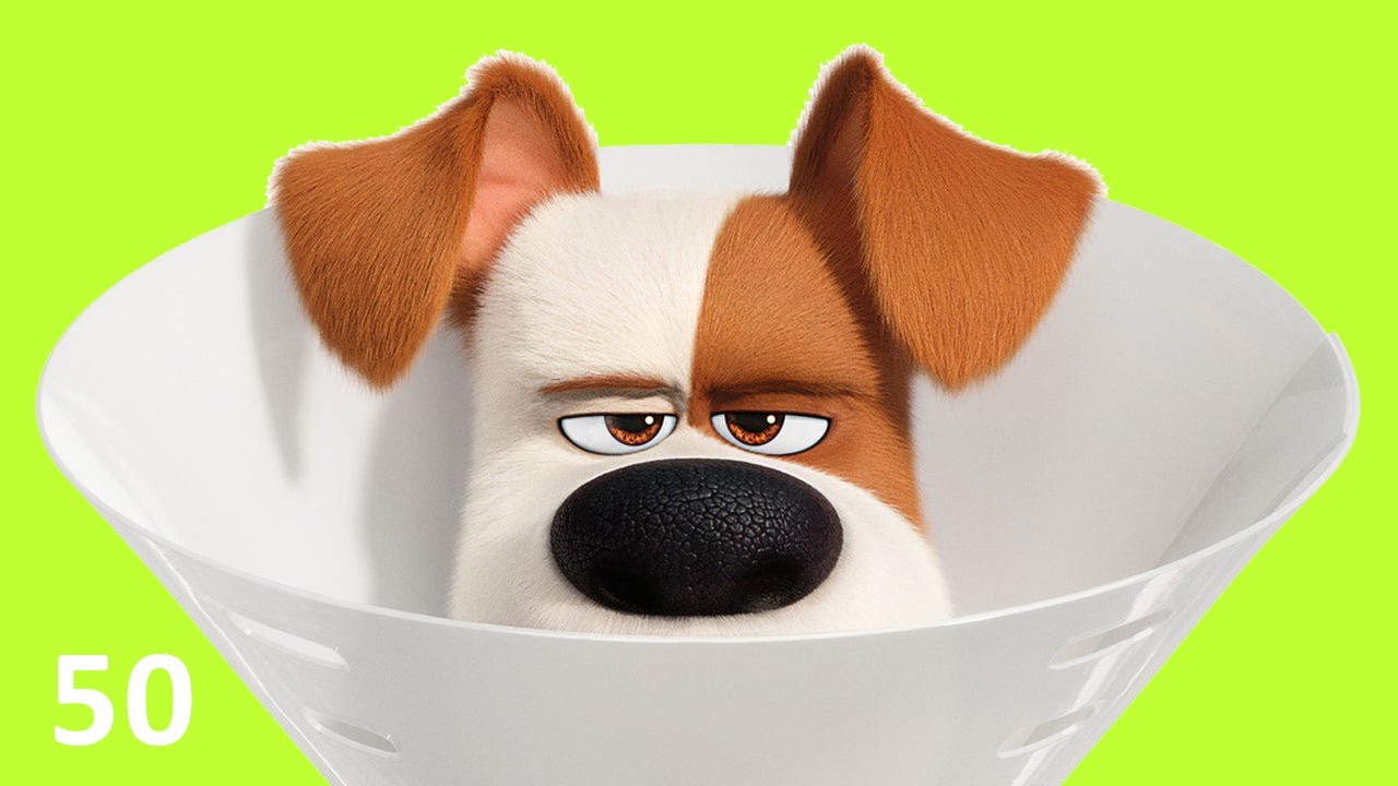 The Secret Life of Pets: Unleashed Android Walkthrough - Gameplay Level 5