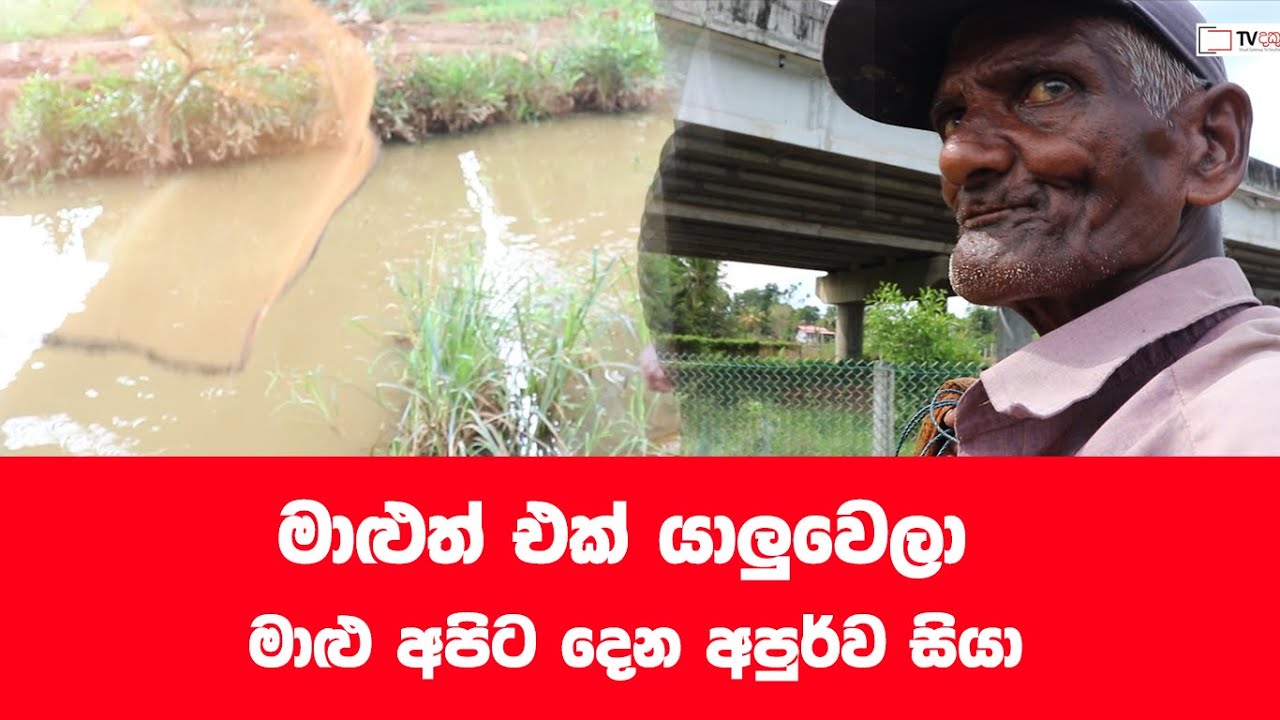මෙන්න දැල් එලවෙන ආකාරය