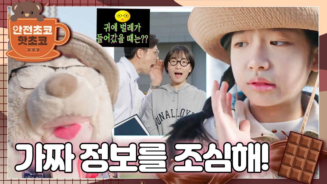 곰통령이 보고 온 건 인터넷에 떠도는 가짜 정보 영상?!ㅣ안전초코 핫초코ㅣ가짜 정보를 조심해!