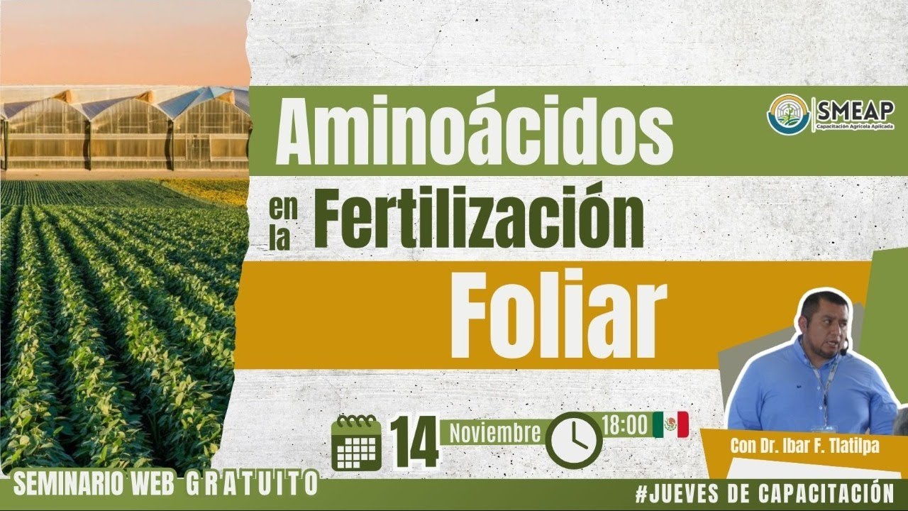 Aminoácidos en la Fertilización Foliar
