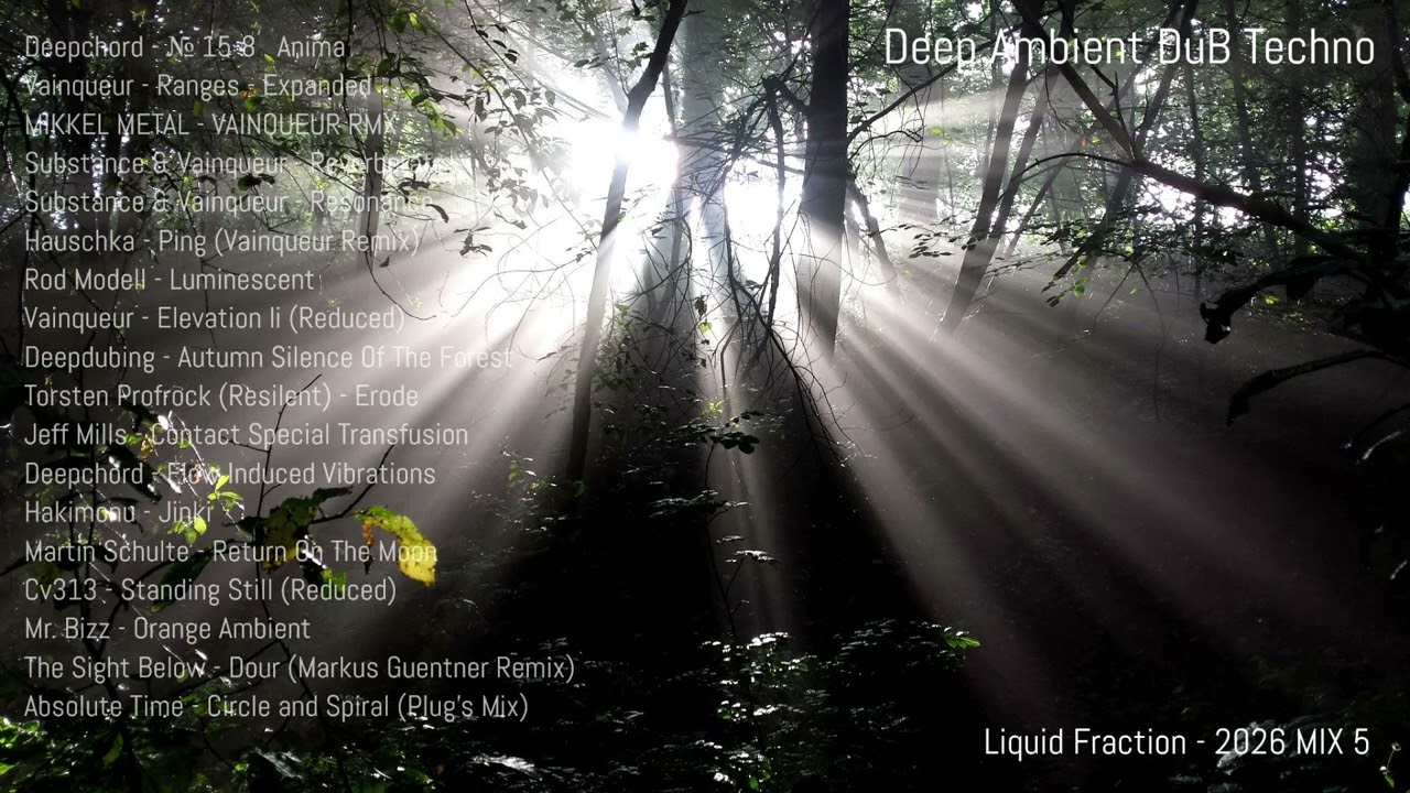 Deep Ambient DuB Techno - Liquid Fraction - 2026 MIX 5.