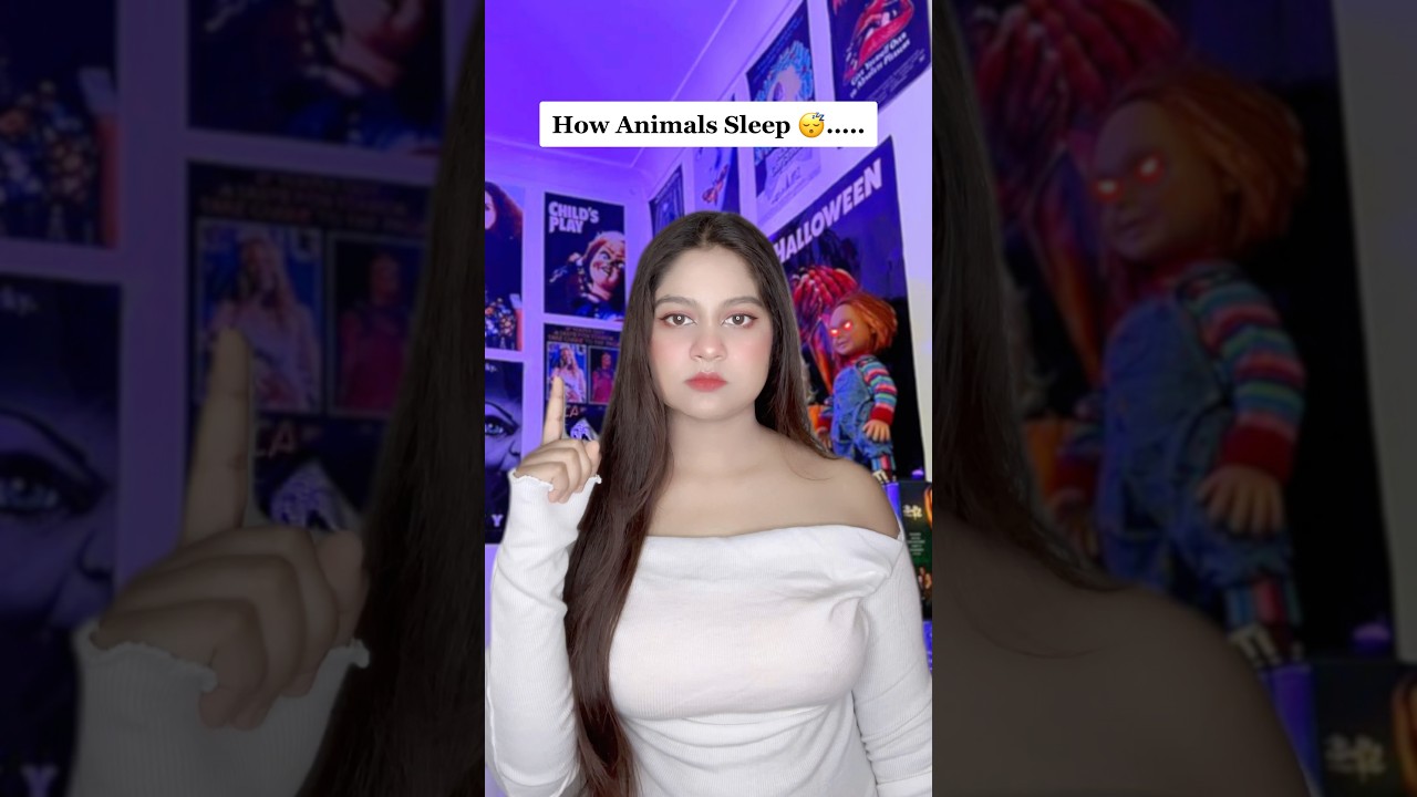 How Animals Sleep&hellip;.😴 ​( scary tiktok ) @Starr02 #shorts #shortsfeed