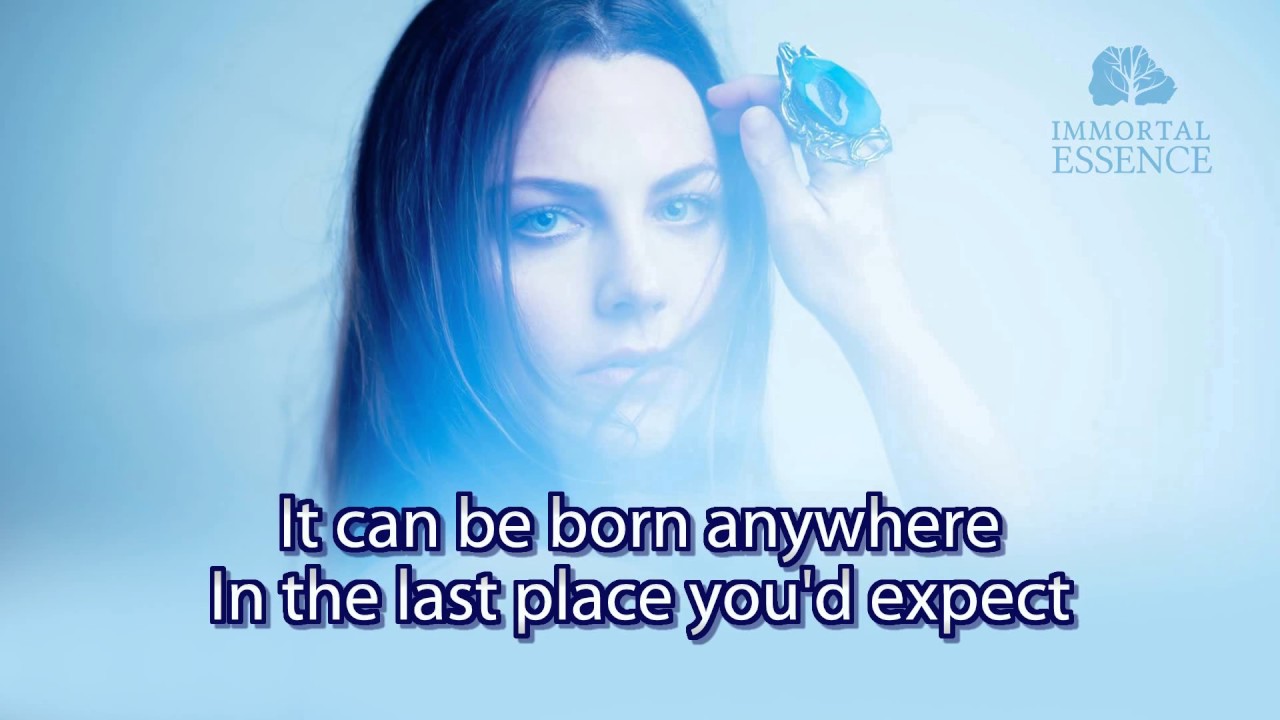 Amy Lee - Love Exists (Instrumental / Karaokê)