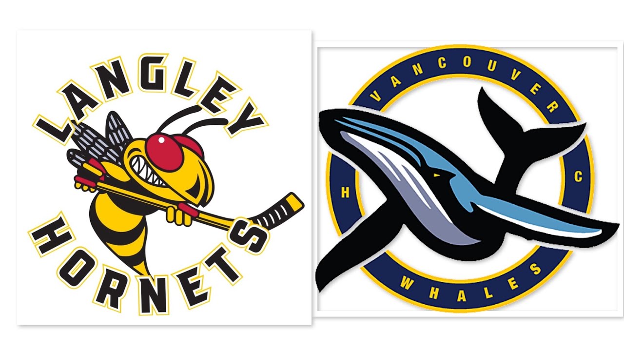 Hornets at Whales - 2026-02-13 20:45-22:45 PST