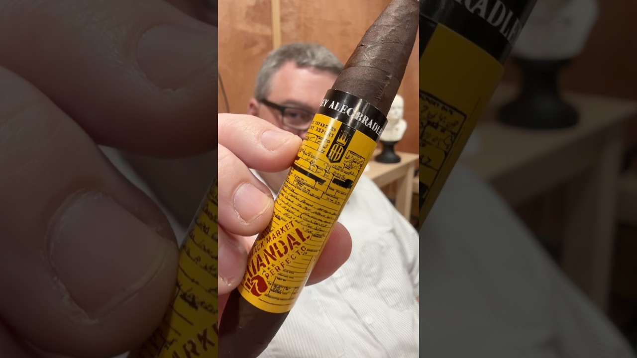 Alec Bradley Vandal Cigar Review  | Bold, Edgy, Full-Bodied Smoke #shorts