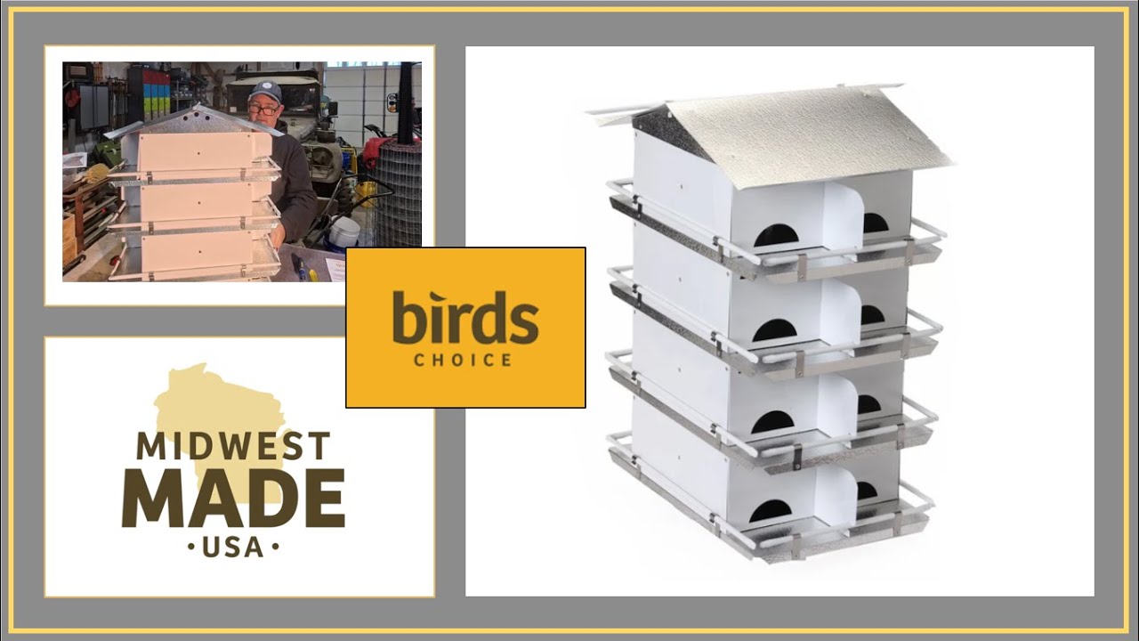 #352: Является ли домик для ласточек Birds Choice Purple Martin House лучшим на рынке?