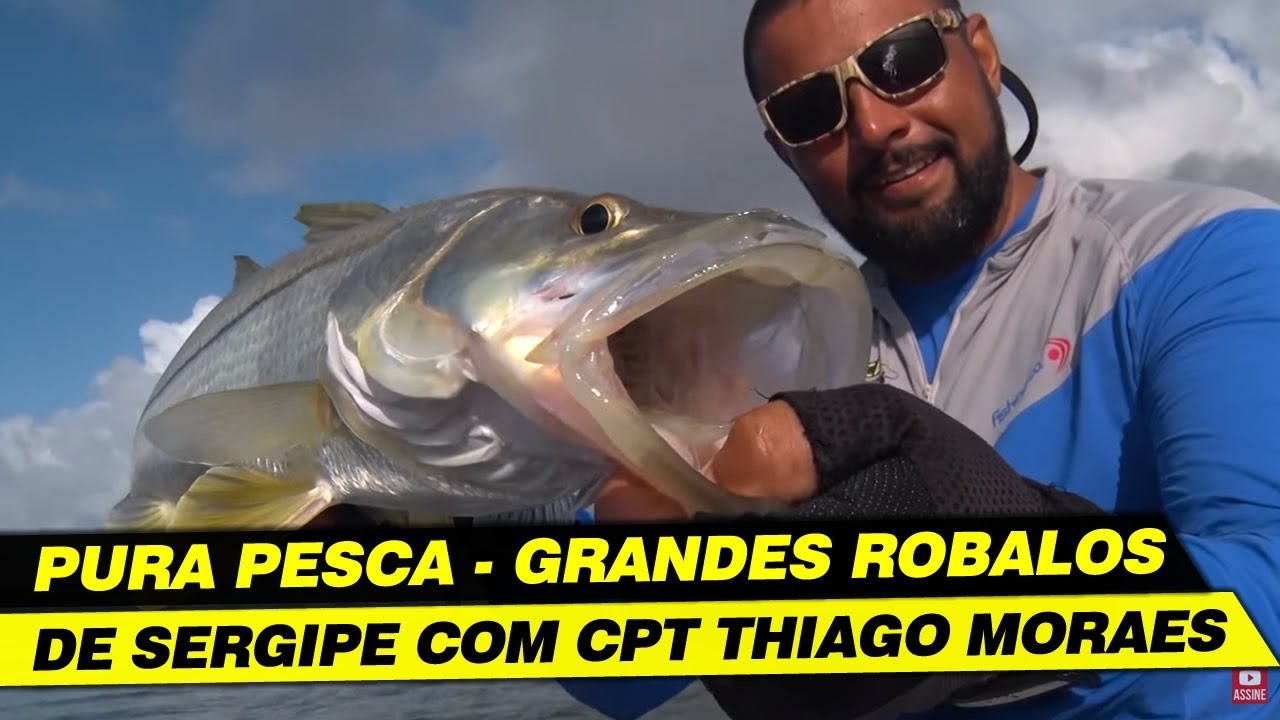 PURA PESCA GRANDES ROBALOS SERGIPANOS.