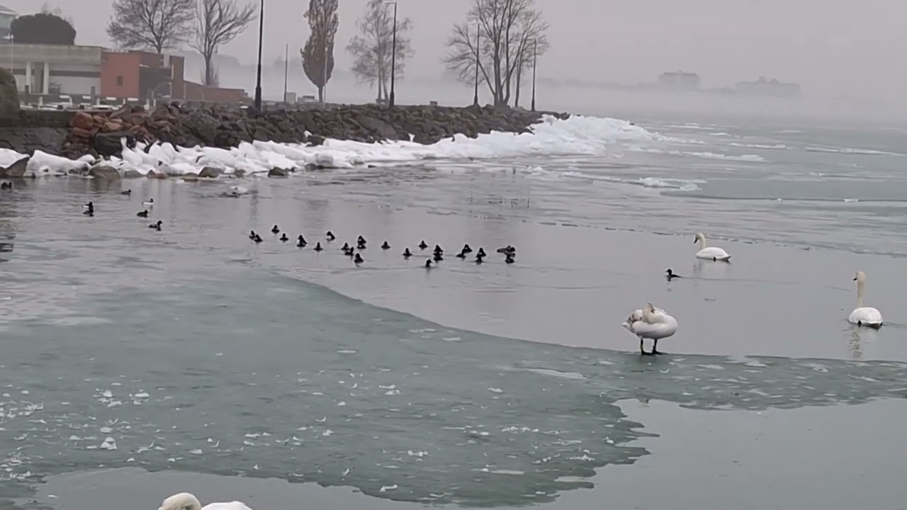 Siófok télen Balaton part