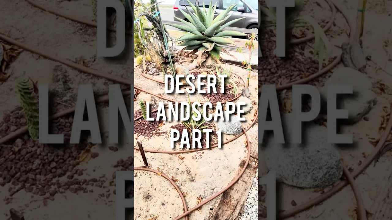 Desert Landscape Part 1 - Project Start