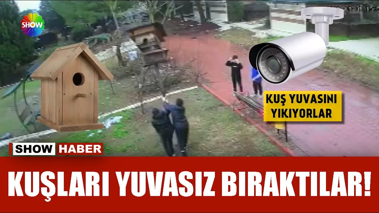 Parktaki kuş yuvasını parçaladılar!