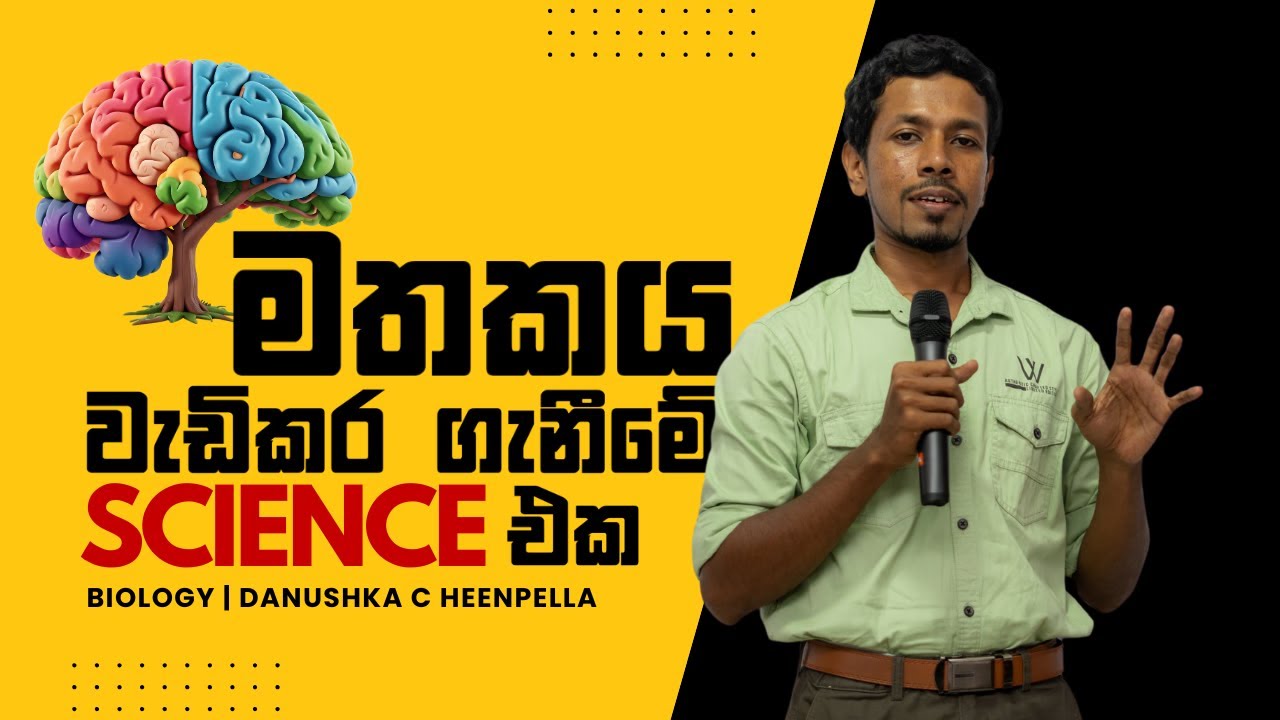 මතකය වැඩි කරගැනීමේ Science එක