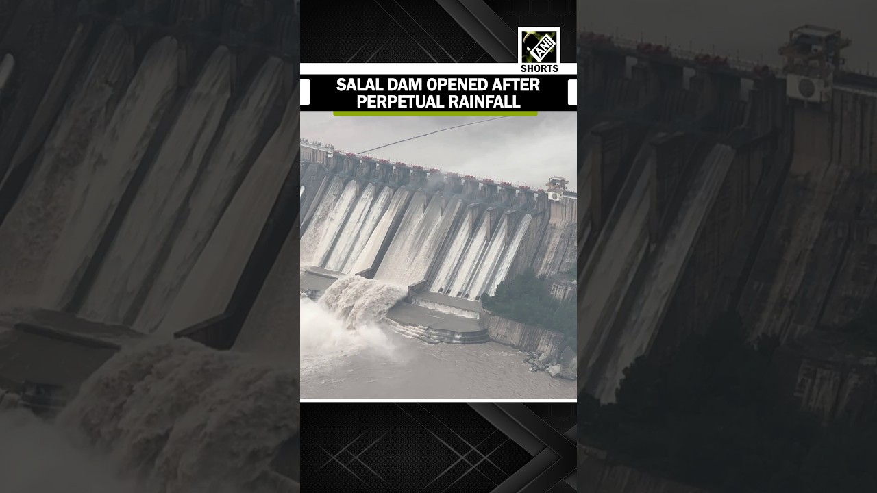 Watch: Salal Dam opens gates to regulate influx in reservoir after rainfall in upper catchment areas