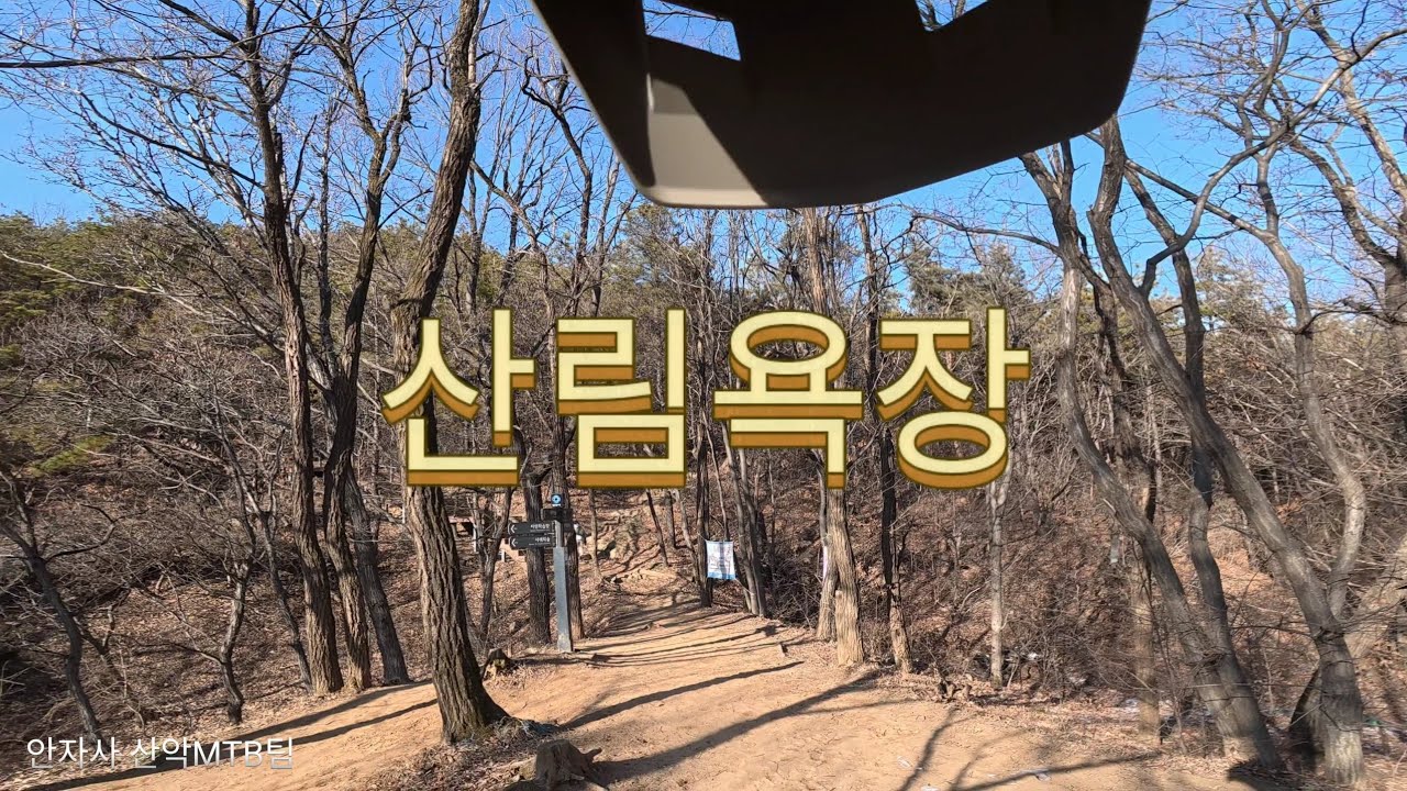 26년1월29일 관악산산림욕장 솔로