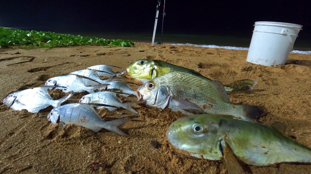 PESCA NOTURNA COMPENSA? vou te REVELAR os SEGREDOS PARA PEGAR MUITOS PEIXES á noite na PRAIA.