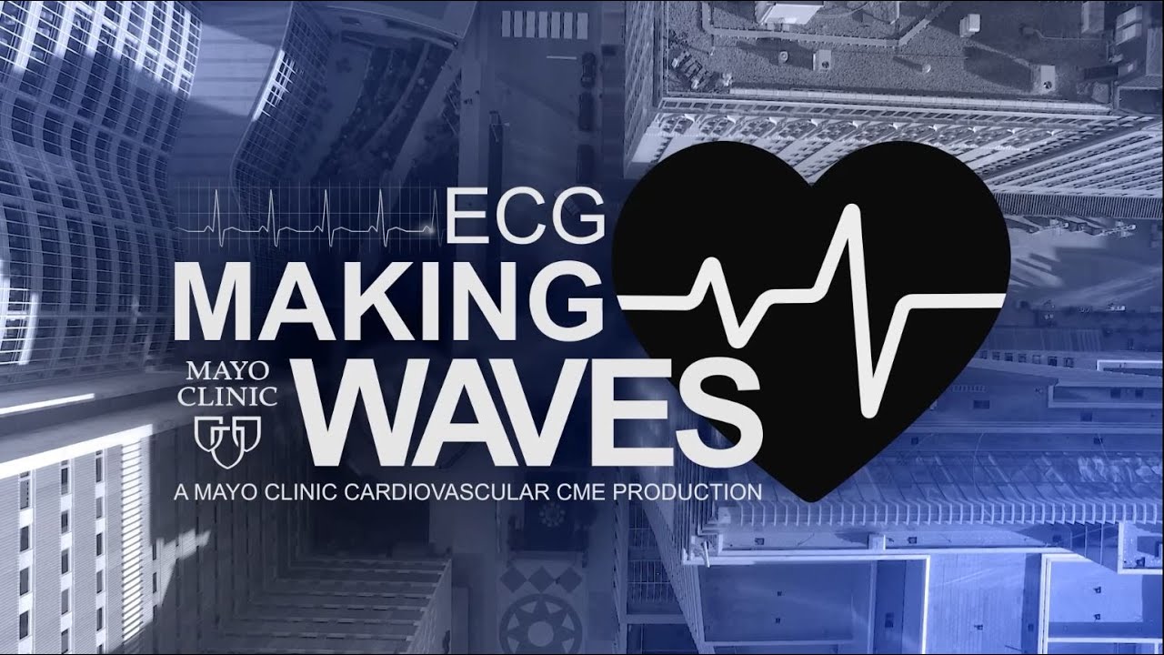 Fostering Innovation in Cardiology & Partnerships Between Engineers and Academics